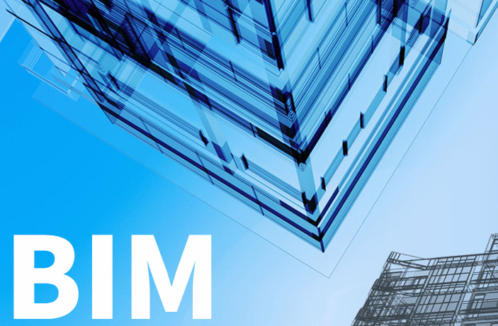 BIM